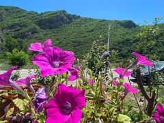 -白河湾山水缘民宿