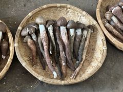 -云南木水花野生菌交易中心