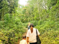 -白鹭湾湿地公园