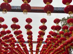 -狼山风景名胜区