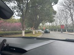 -羊山湖公园