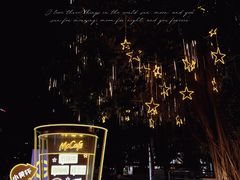 -VT101维多利广场