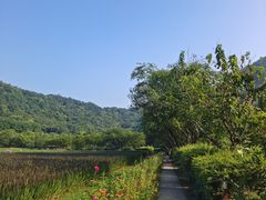 -八卦田遗址公园