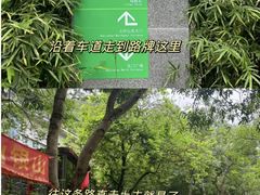 -火炉山森林公园