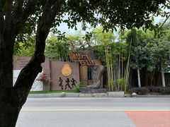 -铁山坪森林公园