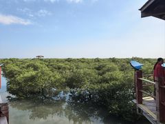 -北海金海湾红树林生态旅游区
