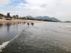 -浪琴湾度假村
