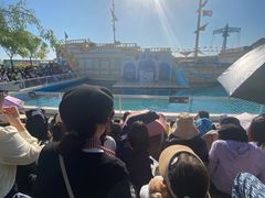 -秦皇岛乐岛海洋王国