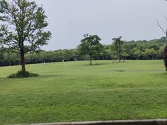 -上海吴淞炮台湾国家湿地公园