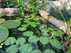 -国家植物园南园