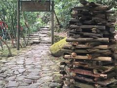 -羚羊峡古栈道森林公园