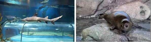 -福州罗源湾海洋世界旅游区