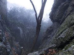 -紫金山天文台