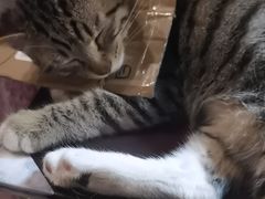 -逃脱反斗城沉浸剧情密室(北京路店)