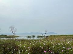 -观澜小洱海