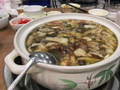 -杨记山珍鸡煲菌汤锅