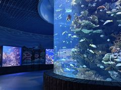 -多彩贵州城极地海洋世界