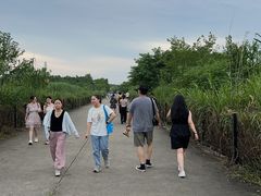 -上海国际音乐村