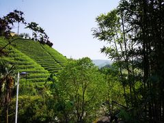 -心无尘茶餐馆(径山村店)