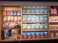 -猫十亿·布偶金渐层·曼基康矮脚猫舍(青年路店)