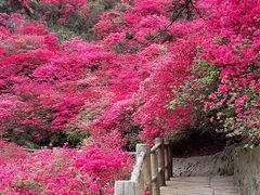 -木兰云雾山