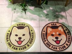 -柴务处·柴犬主题狗咖