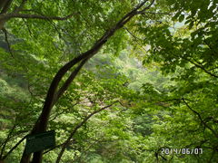 -岳西天峡风景区