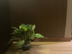 -耳域躺式采耳SPA馆(新街口店)