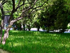 -石家庄市植物园