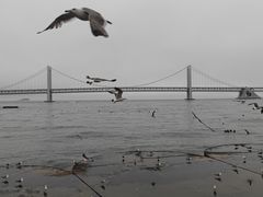 -星海广场