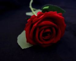 -MOE BEAUTY.皮肤管理中心