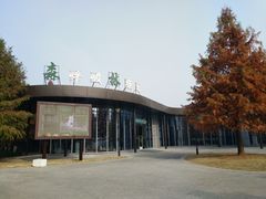 -黄海国家森林公园