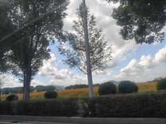 -东钱湖旅游度假区