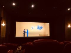 -SFC上影影城(成都科华IMAX店)