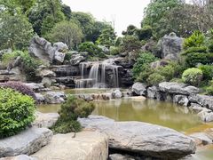 -东莞植物园