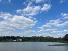 -昆山城市生态森林公园