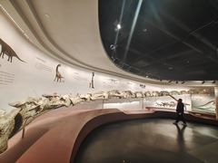 -自贡恐龙博物馆