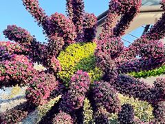 -杭州植物园