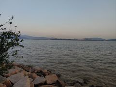 -深圳湾公园(南山区)