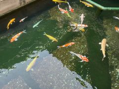 -松鹤楼(山塘街店)