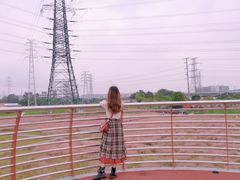 -王借岗森林公园