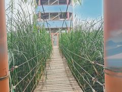 -河北村民俗体验园