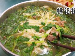 -杨记拉面总店