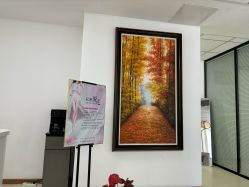 -薇兰专业脱毛连锁机构