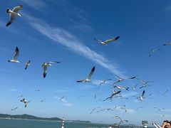 -长岛南北长山旅游景区