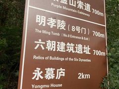 -紫金山山顶公园