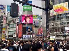 -涩谷区