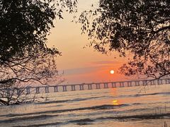 -宝安西湾红树林湿地公园