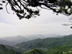 -内乡宝天曼生态旅游区