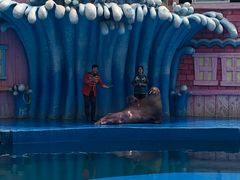 -华夏文旅海洋公园